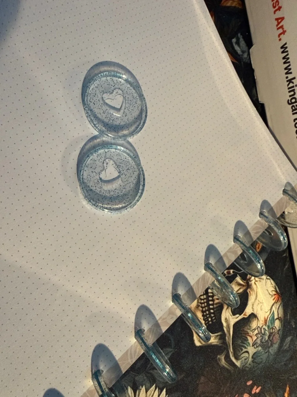 Happy planner budget guts with glitter discs - classic size -see pics